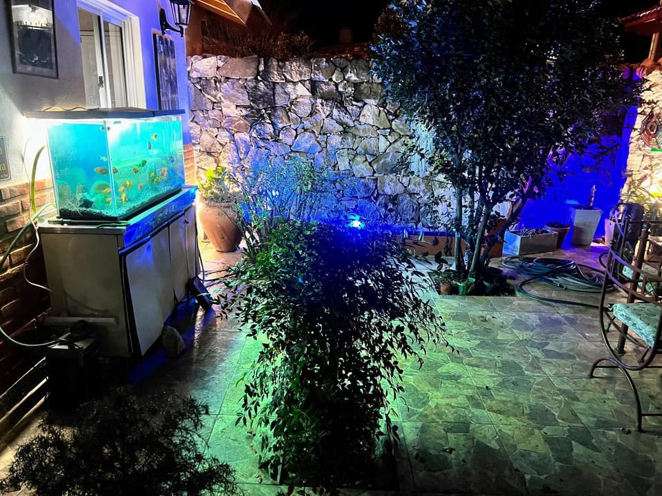 Patio, Night, Garden view
