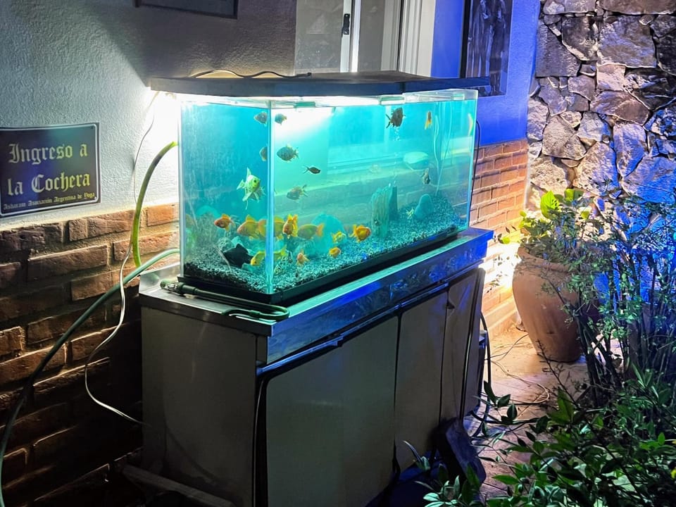 Patio, Night