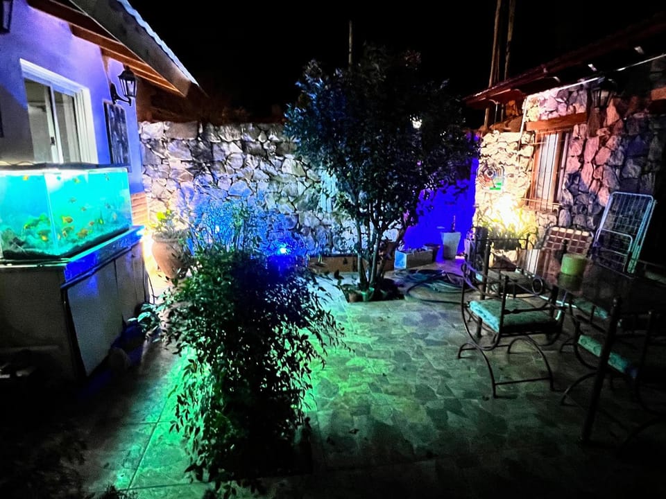 Patio, Night, Garden