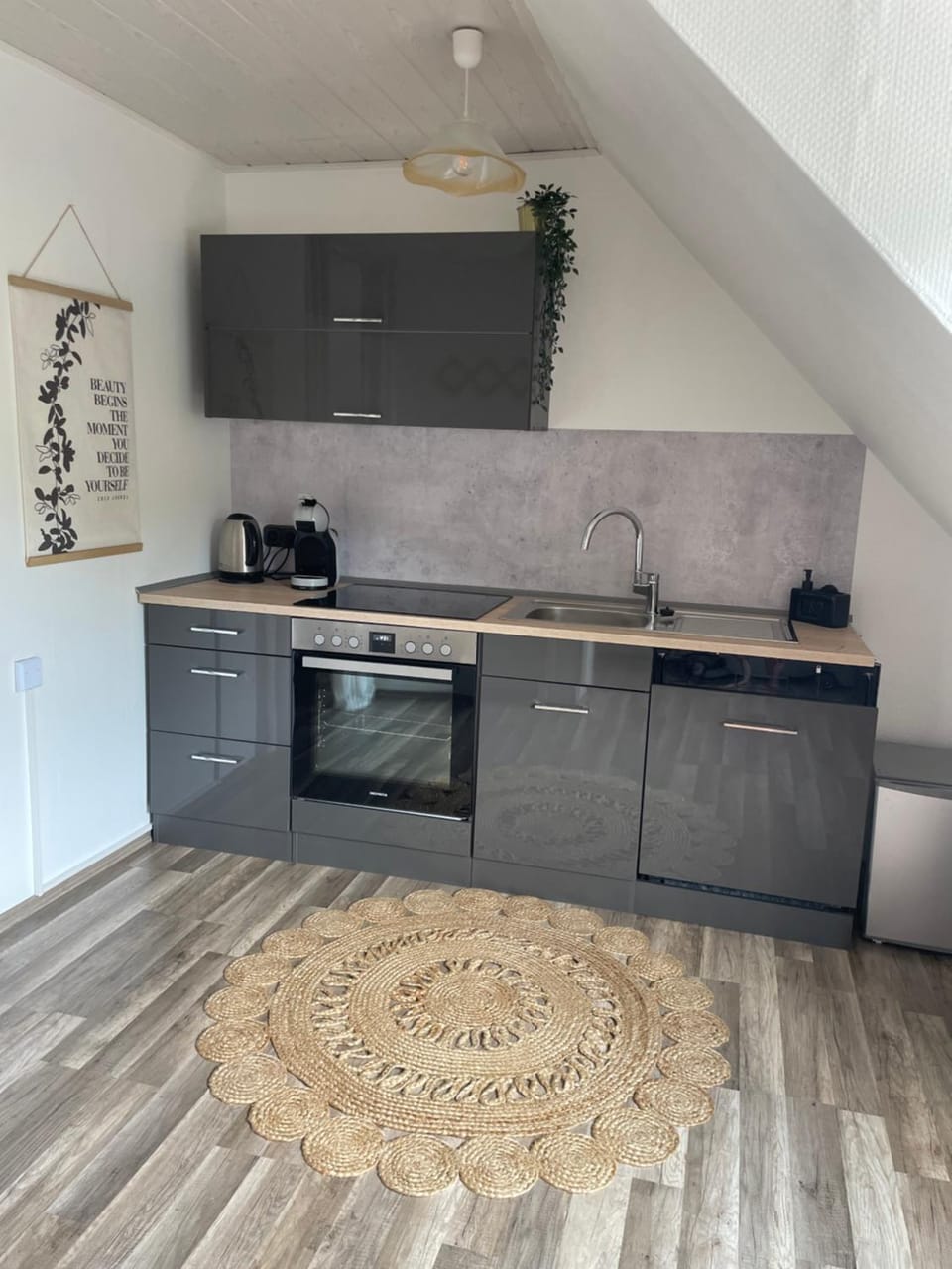 Kitchen or kitchenette, oven, stove, toaster