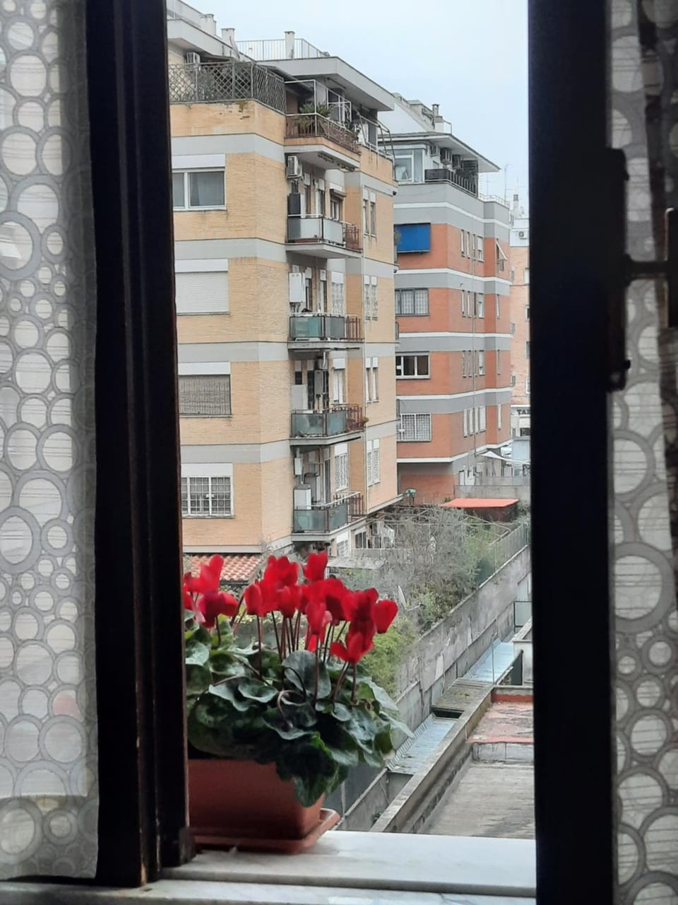 Property building, Day