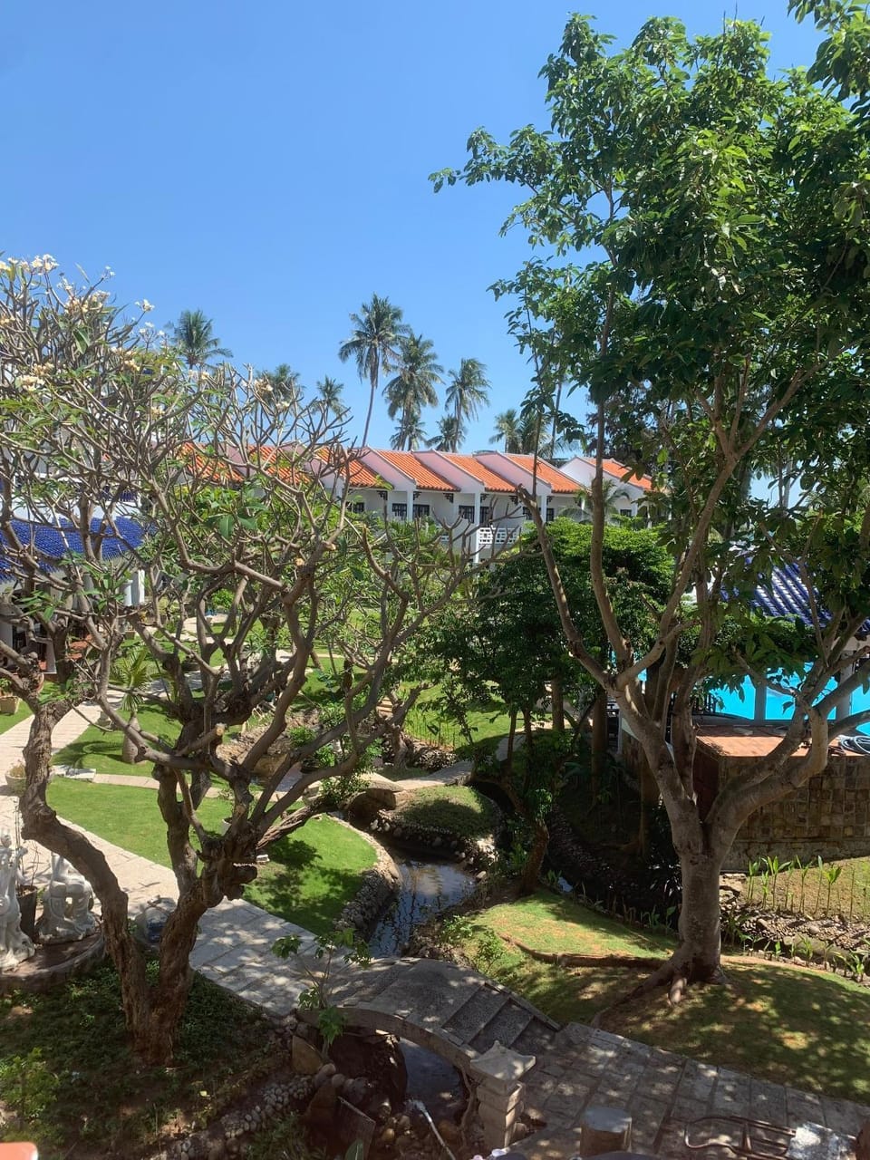 View (from property/room)