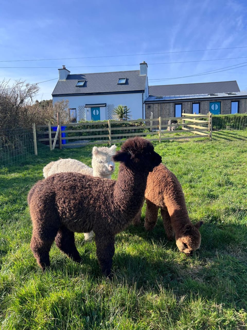 Wild Wild West Holiday Cottages House in County Cork