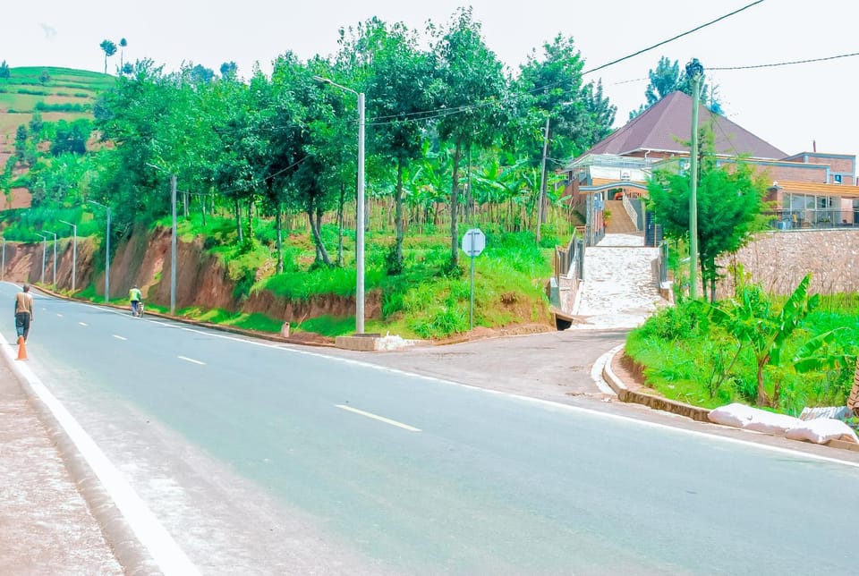 Day, Neighbourhood, Natural landscape, Garden, Garden view, Street view