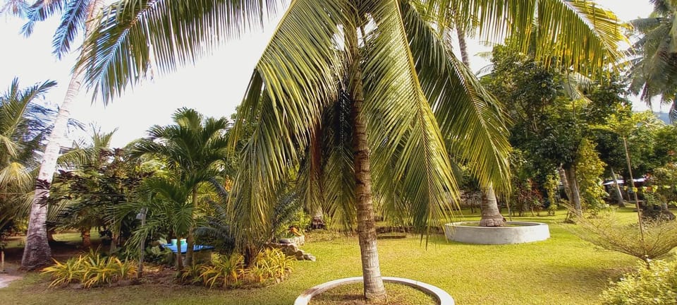 Day, Garden, Garden view