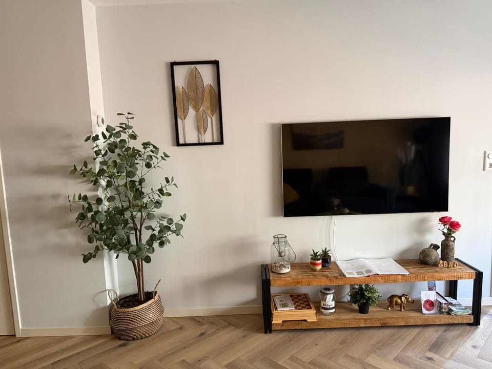 TV and multimedia