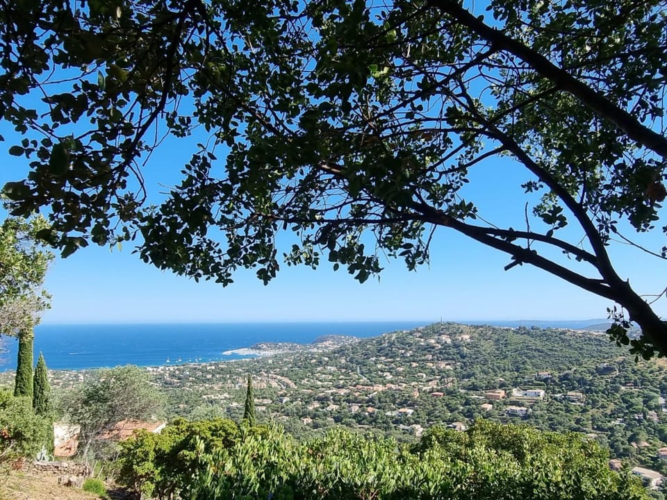 View (from property/room)