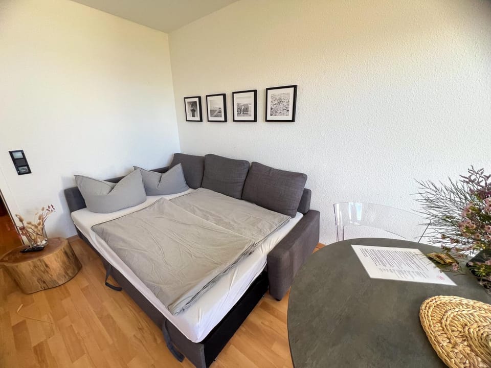 Apartment Waterkant am Deich mit Pool für 2-4 Personen Apartment in Dahme