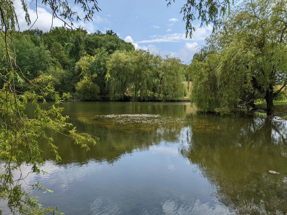 Maison spacieuse en pleine nature avec piscine, équipements de loisirs et randonnées à proximité - FR-1-653-105 House in Nouvelle-Aquitaine