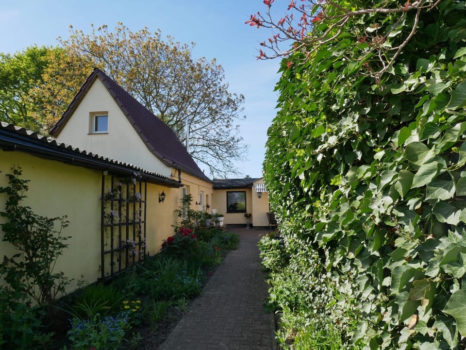 Property building, Garden, Garden view