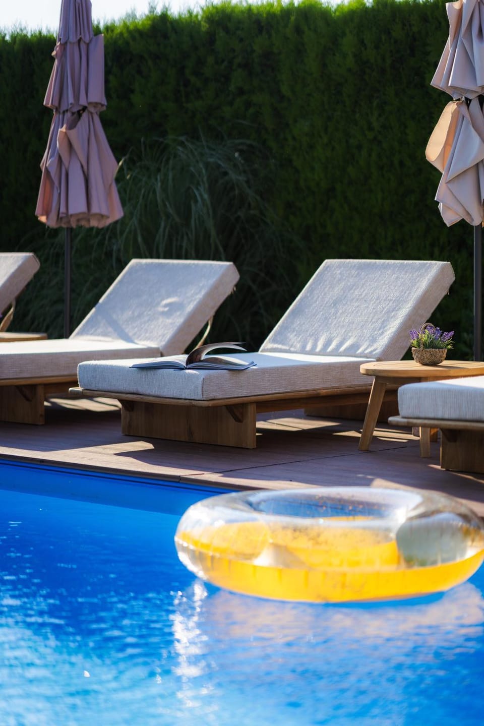 Garden, Swimming pool, sunbed