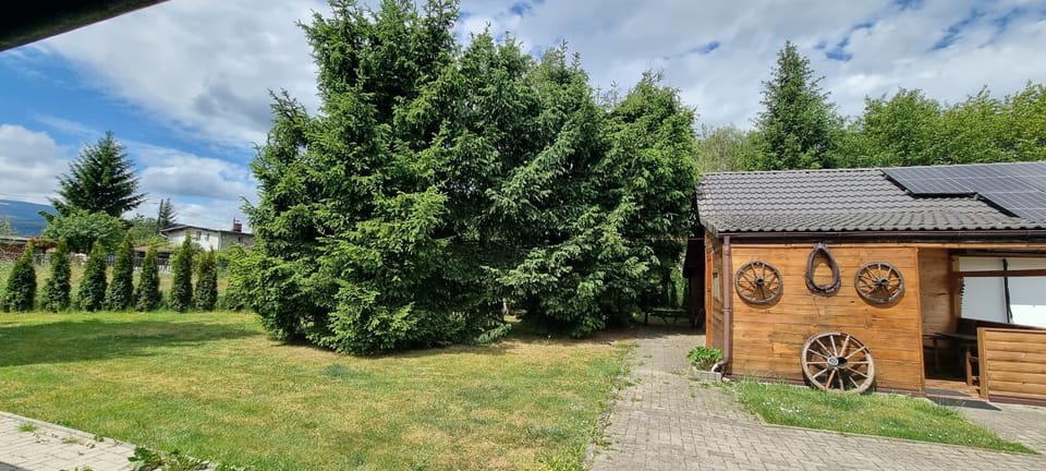 Day, Garden, Garden view