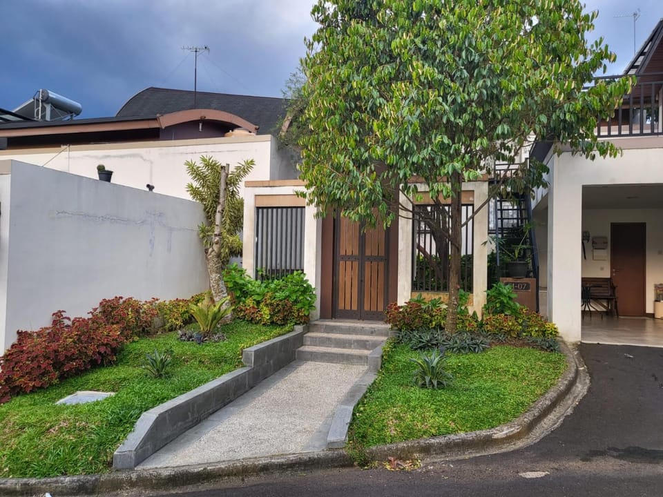 Property building, Garden, Garden view