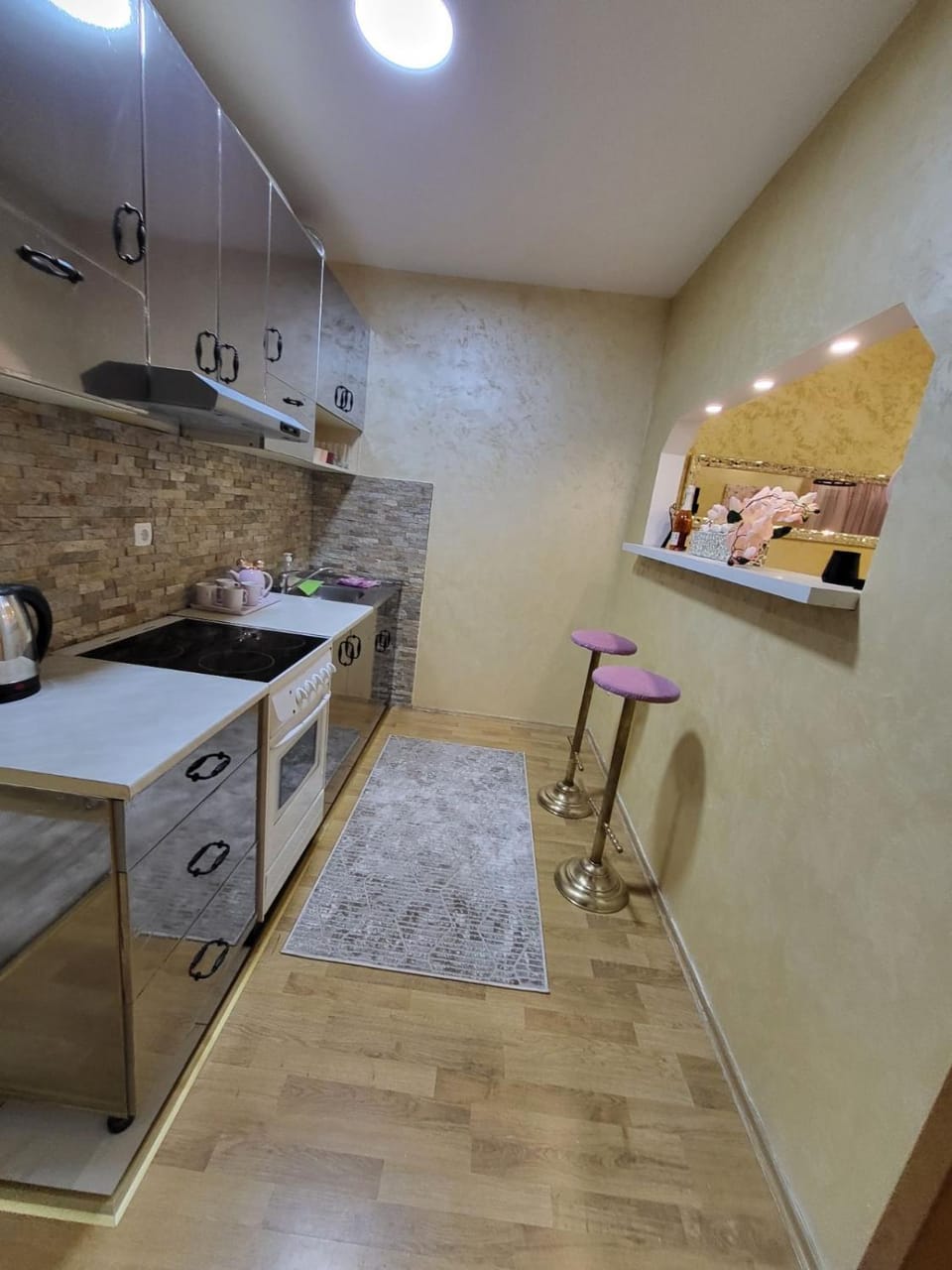 Kitchen or kitchenette, minibar, pet friendly, stove