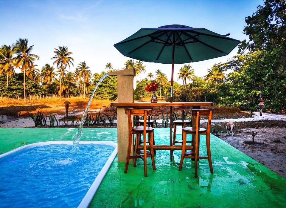 Day, Pool view, Swimming pool