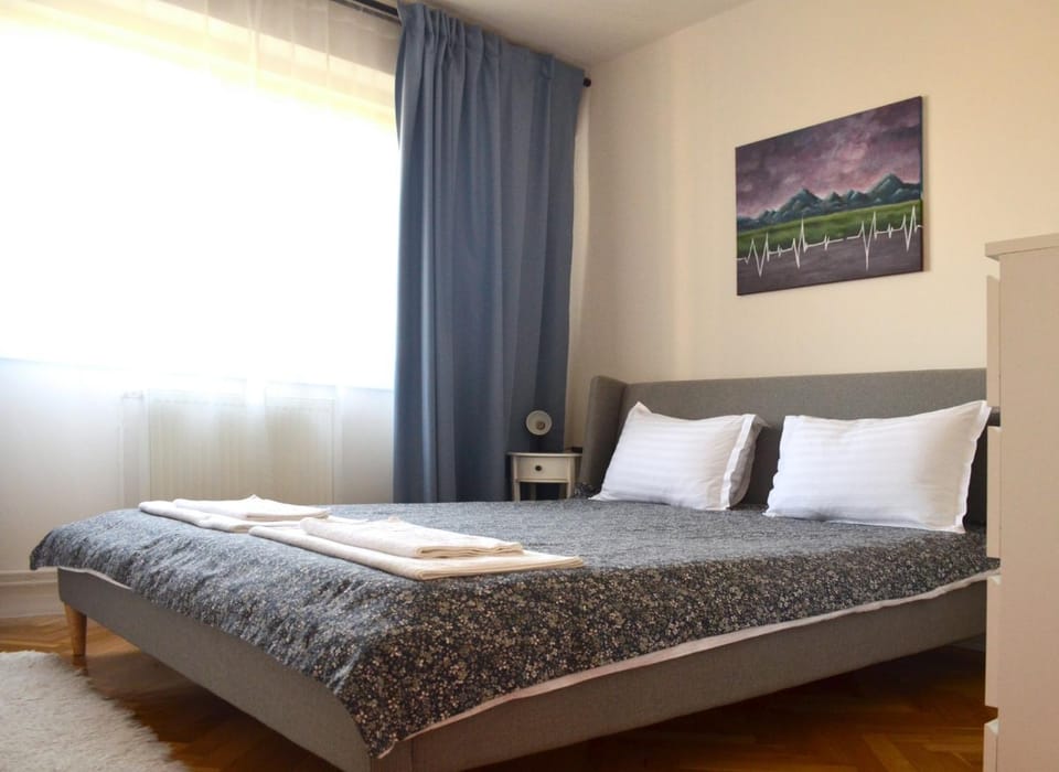 Apartament Mony Apartment in Timisoara