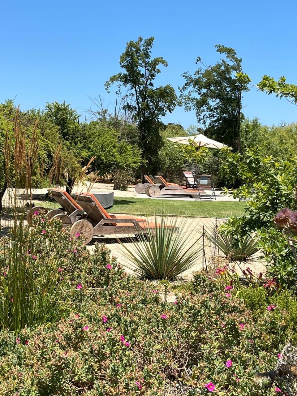 Day, Natural landscape, Garden, Garden view