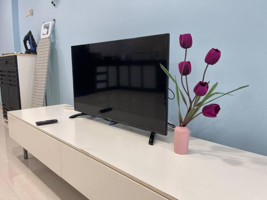 TV and multimedia