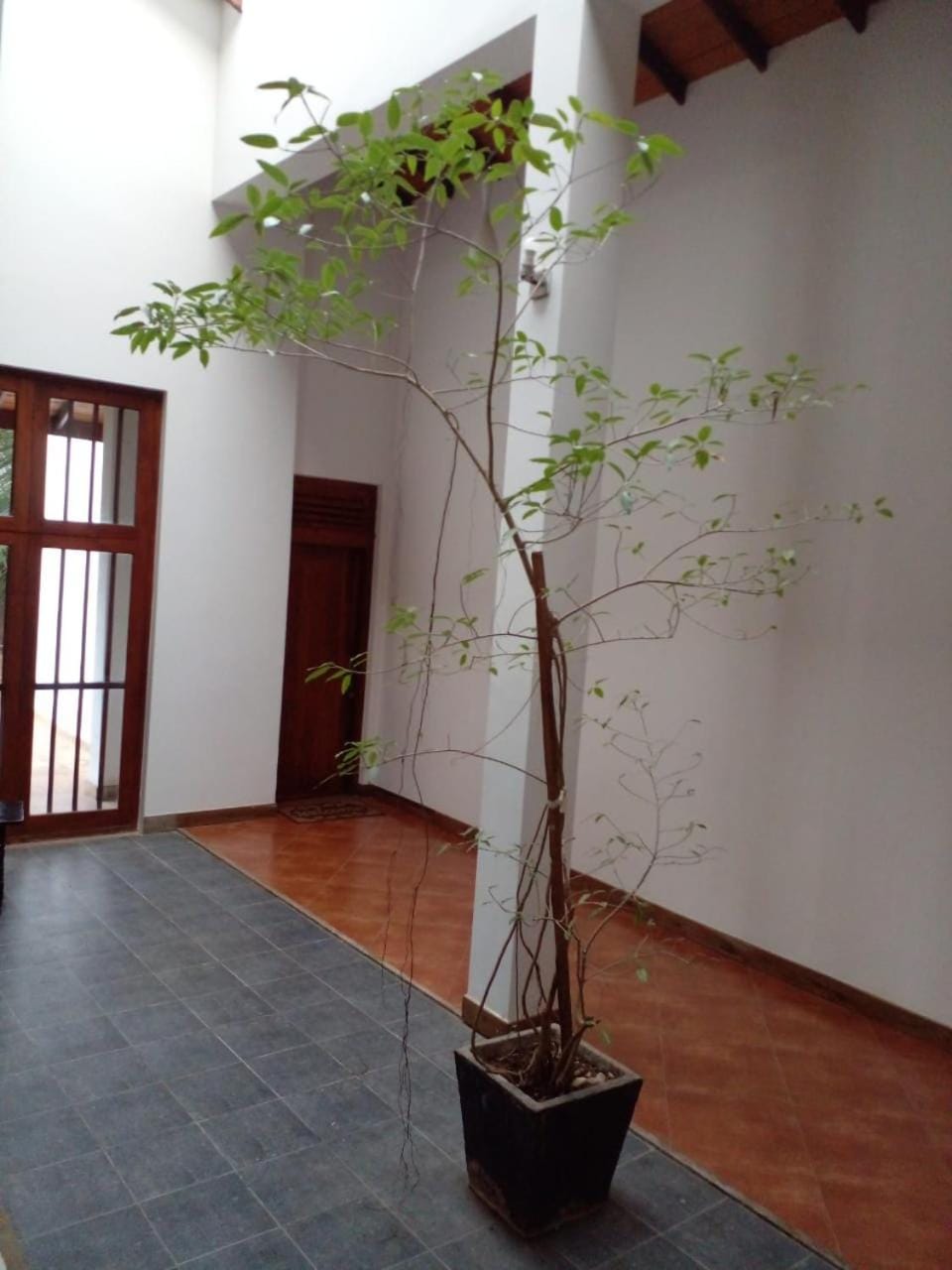 Enola Holiday Resort Bed and Breakfast in Sri Lanka