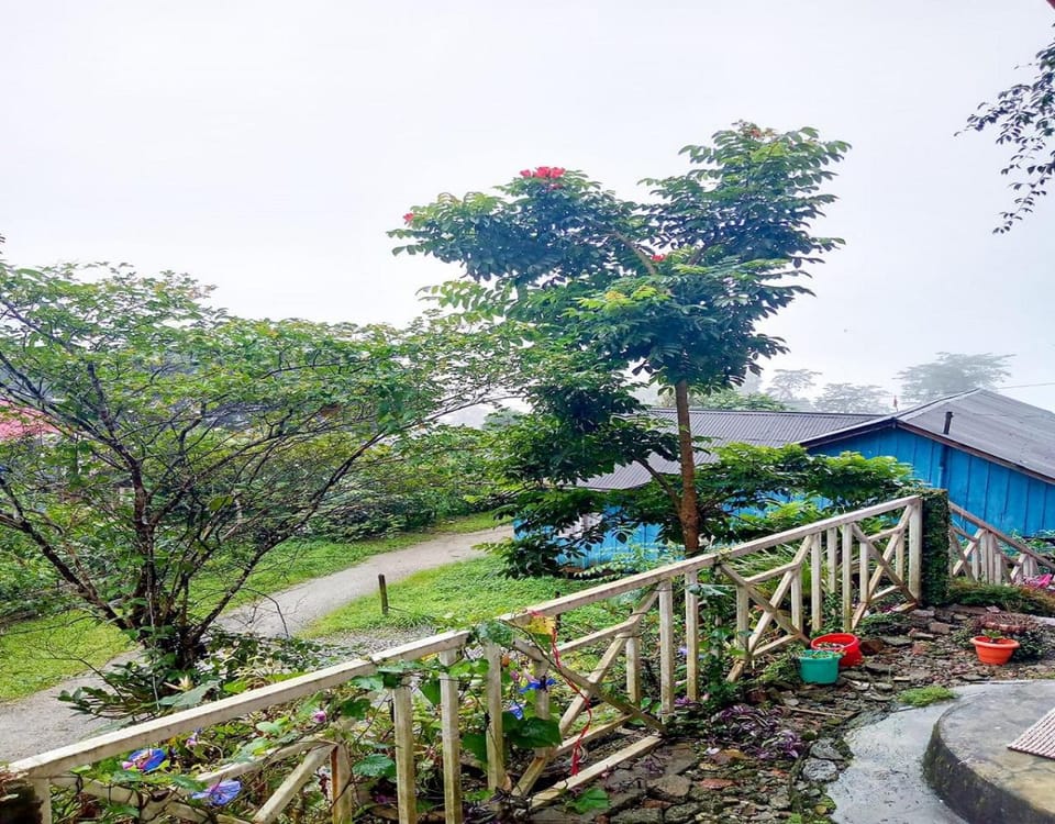 Natural landscape