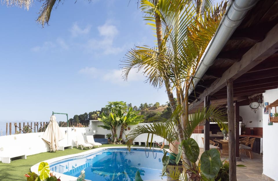 Garden, Garden view, Pool view, Swimming pool