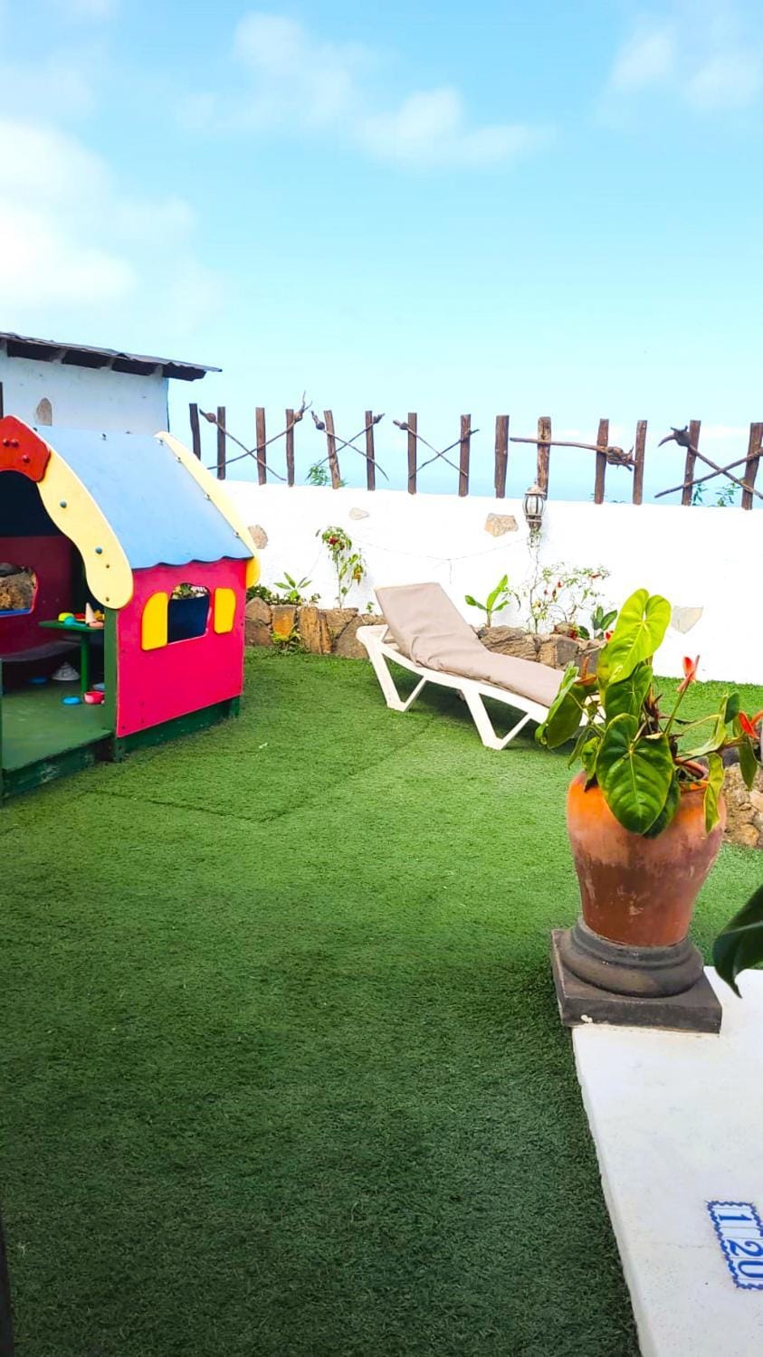 Patio, Garden, Garden view