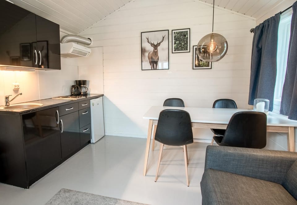 Kitchen or kitchenette, Dining area, kitchen
