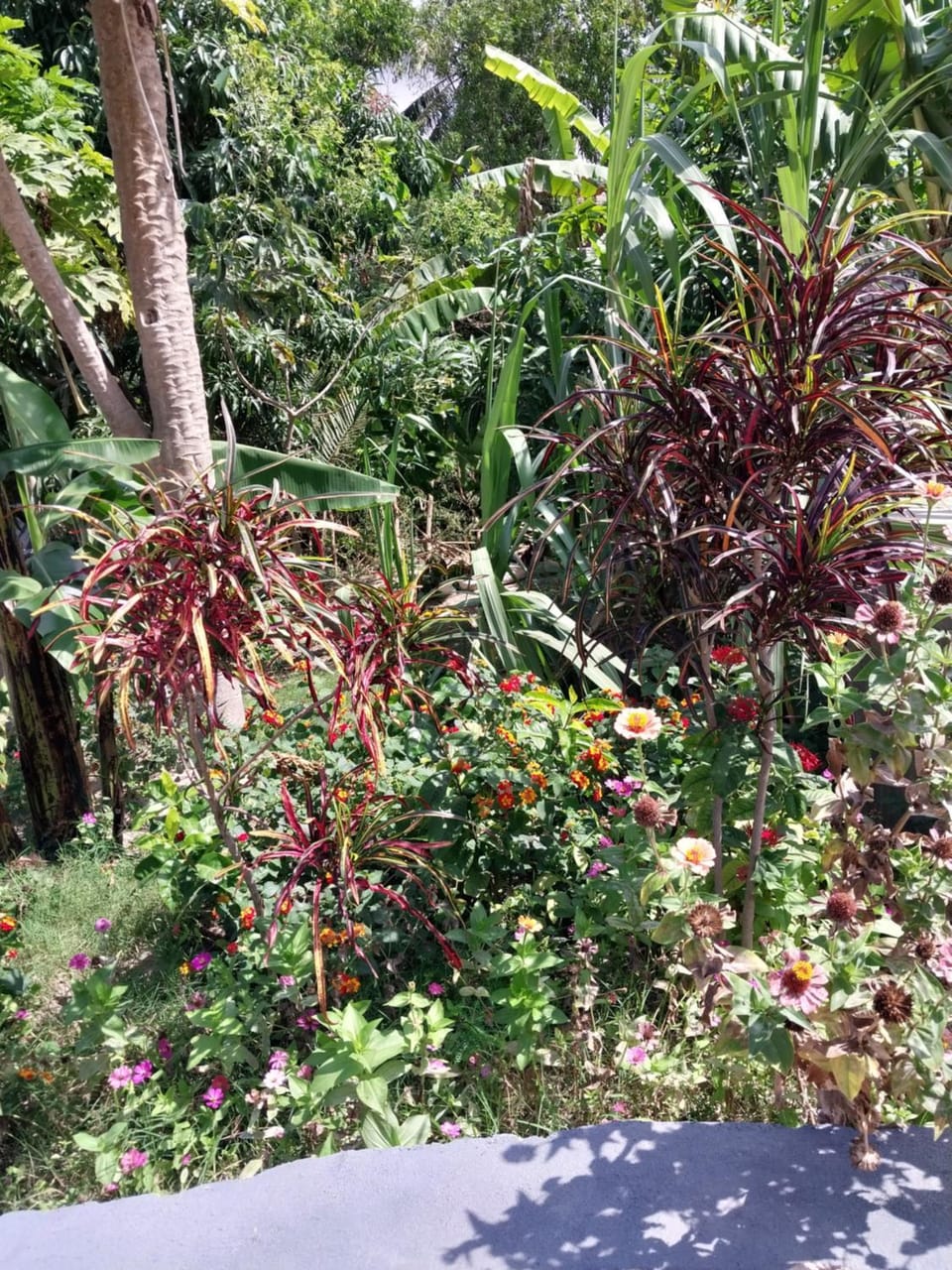 Natural landscape