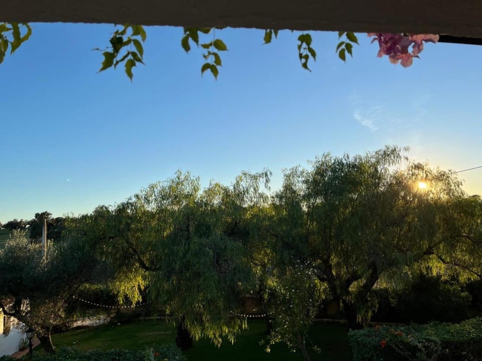 Garden view