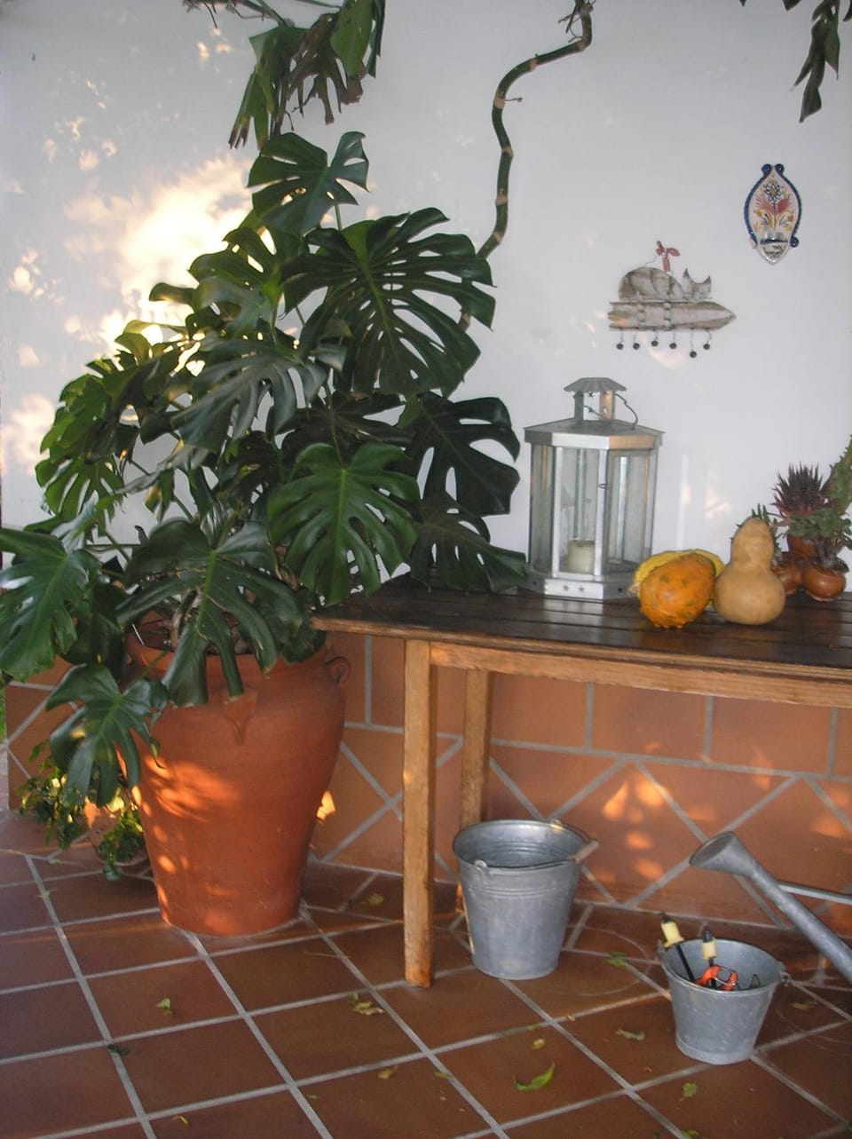 Casa Rural "El Carrasca" House in Extremadura, Spain