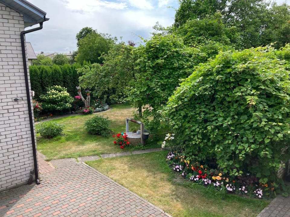 Property building, Garden, Garden view