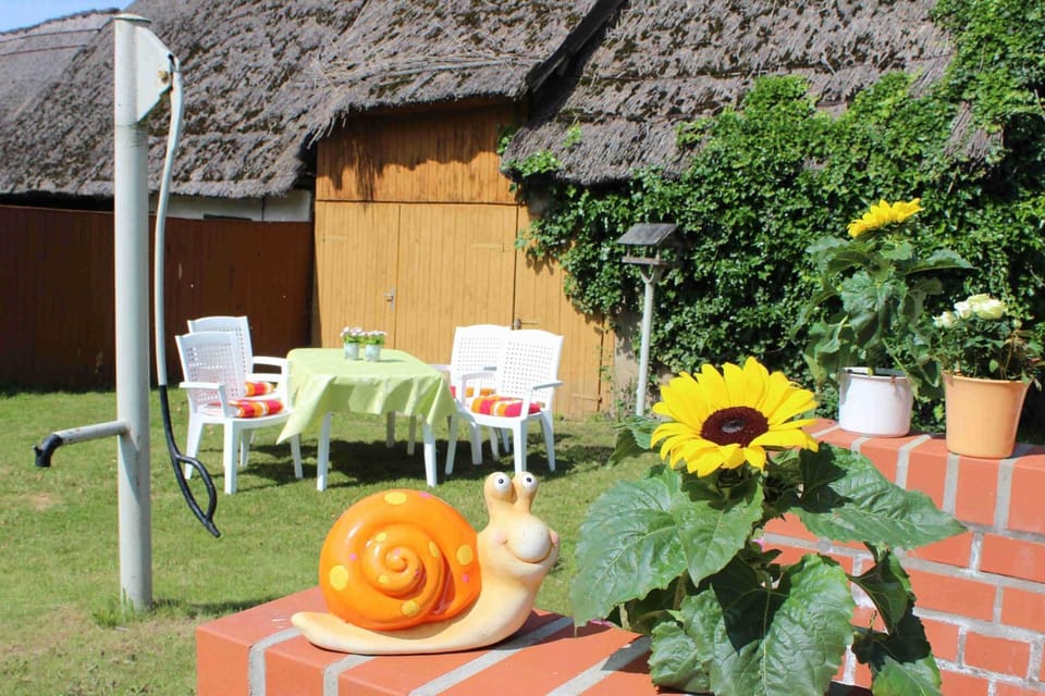Property building, Patio, Garden