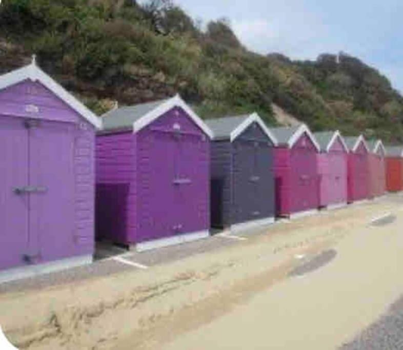 1 Bedroom self contained apartment in Christchurch Apartment in Christchurch