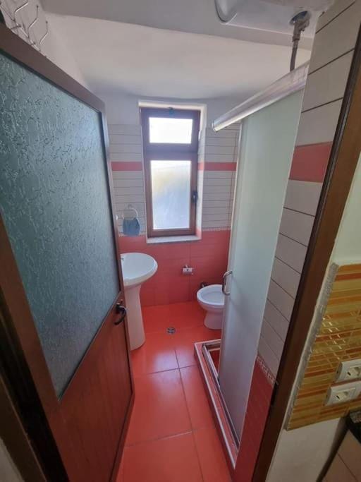 Aunt's Place Apartment in Montenegro