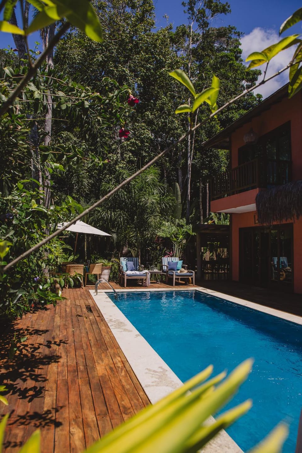 Garden, Swimming pool