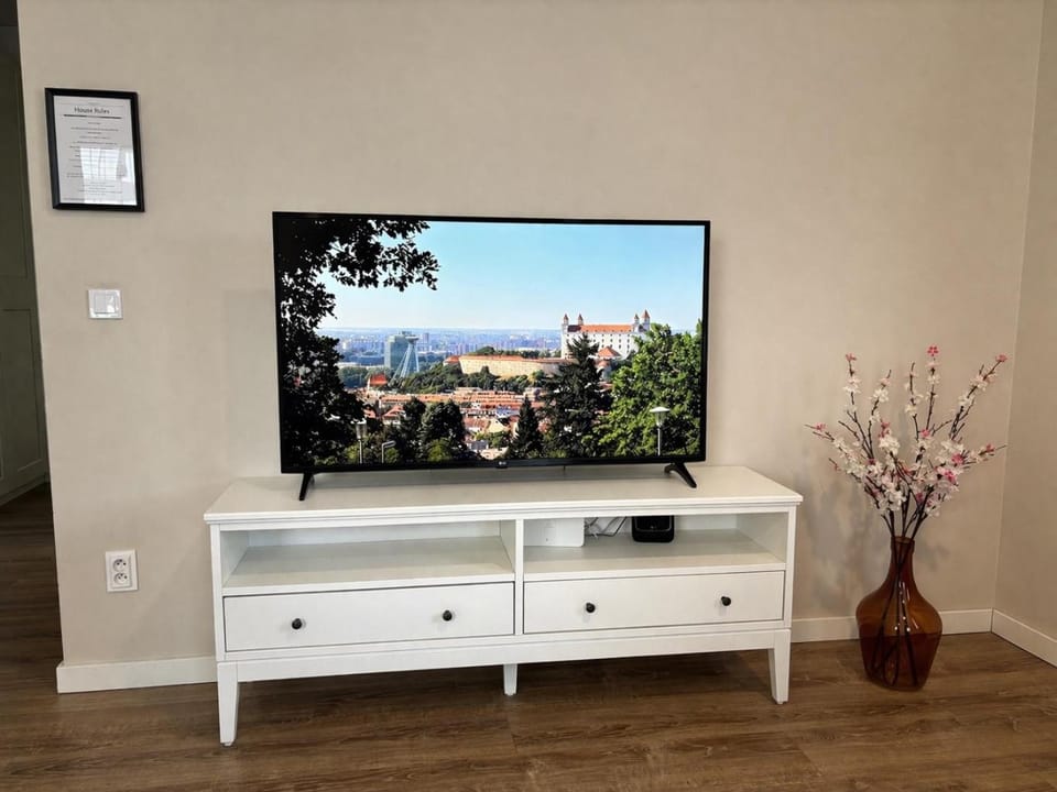 TV and multimedia