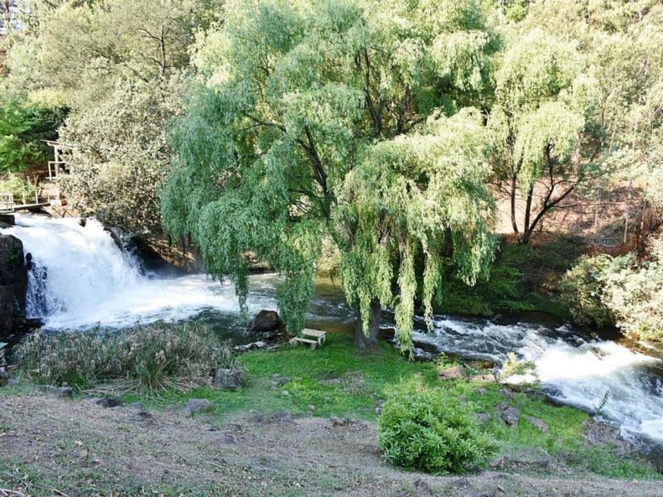 Natural landscape