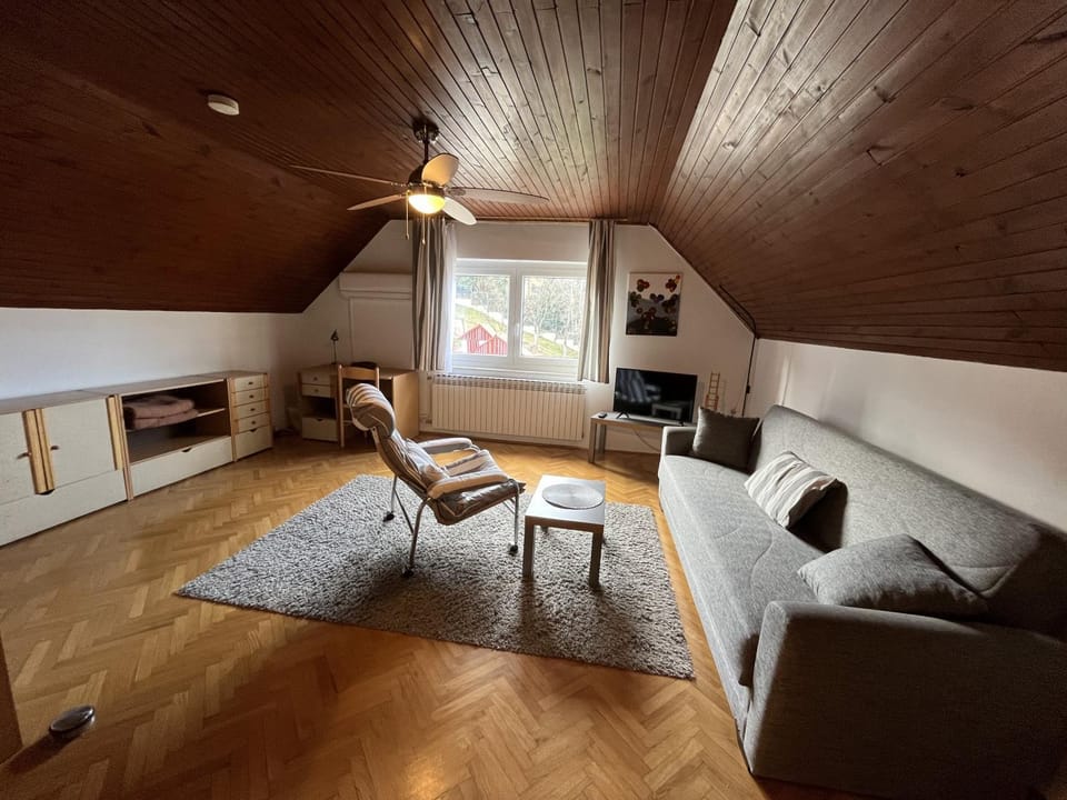 TV and multimedia, Bedroom, fireplace