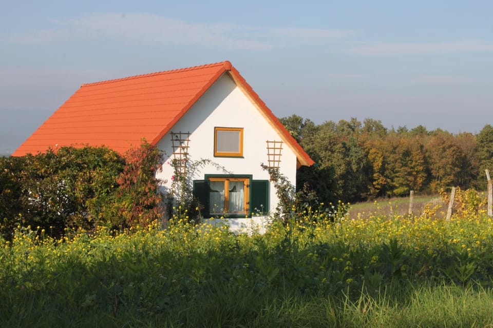 Property building, Day, Natural landscape, Garden, Garden view