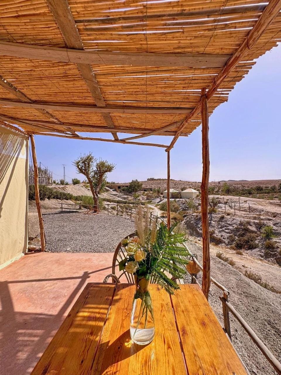 Patio, Day, Natural landscape