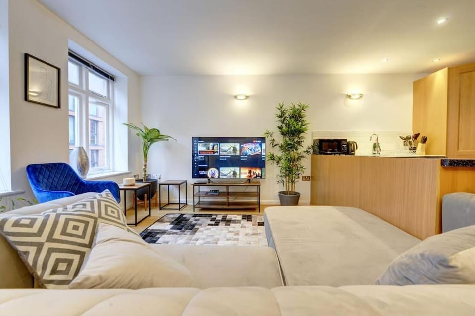 TV and multimedia, Kitchen or kitchenette, Living room, Photo of the whole room, Seating area