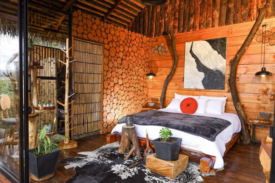 Bed, Living room, Photo of the whole room, Bedroom