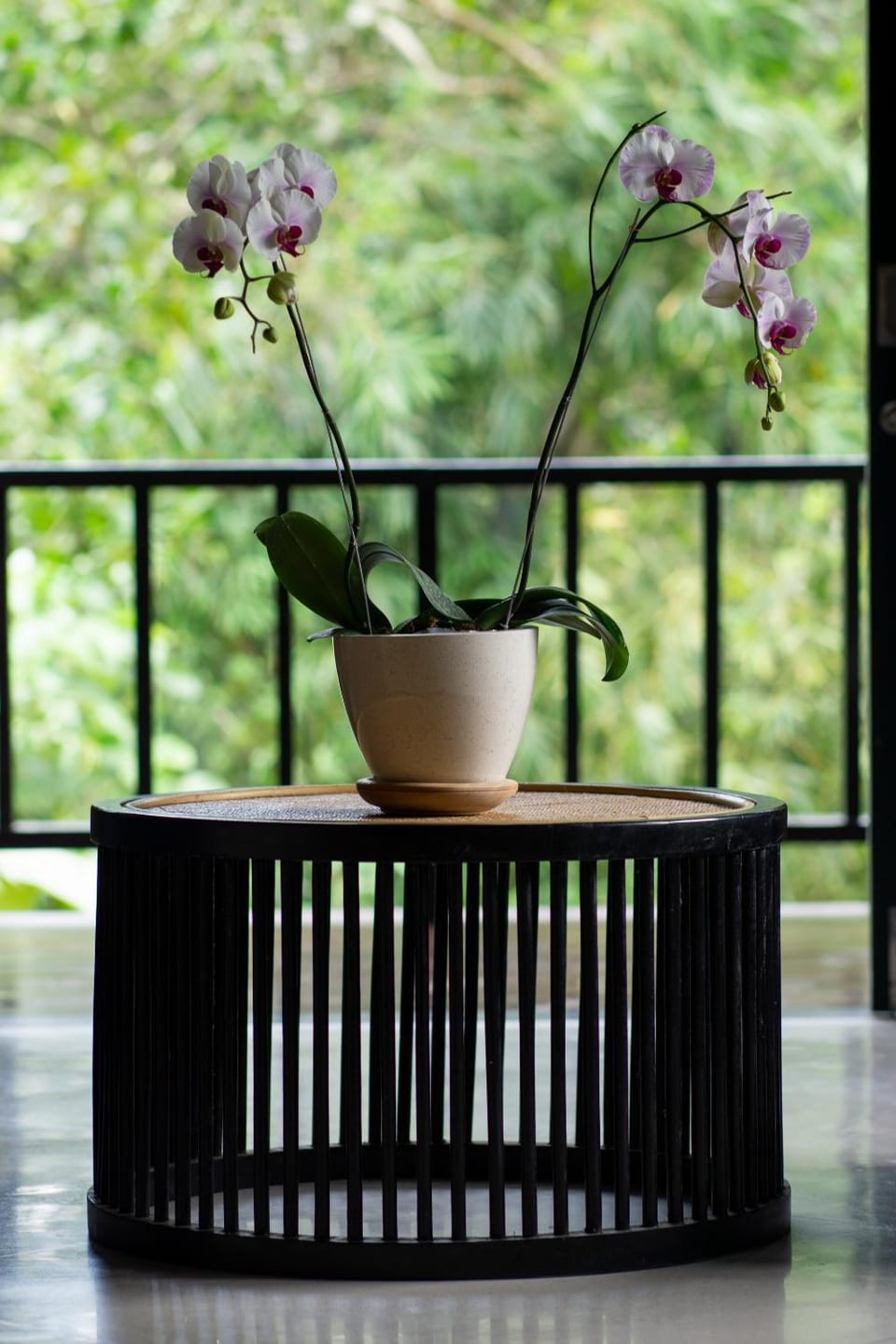 Balcony/Terrace, Living room, Bedroom, Garden view