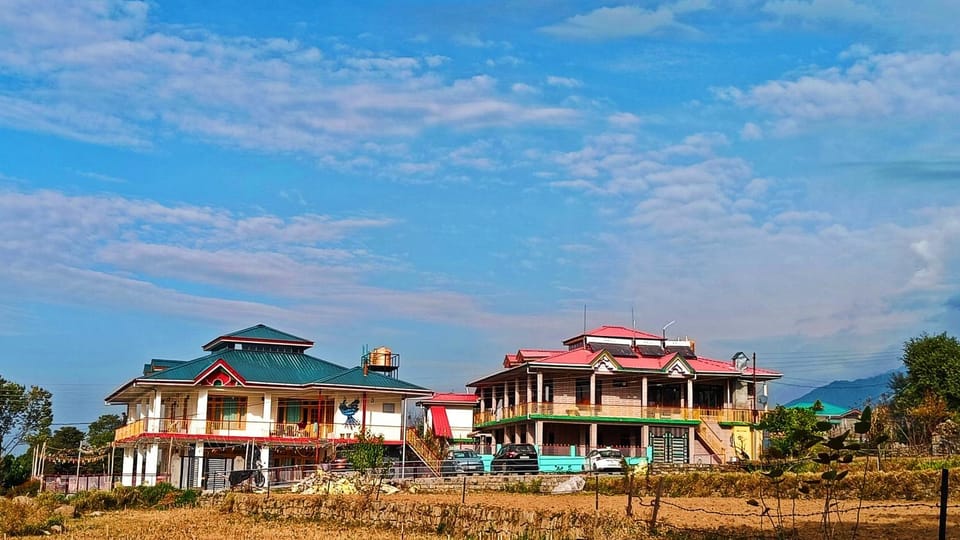 Property building, Day