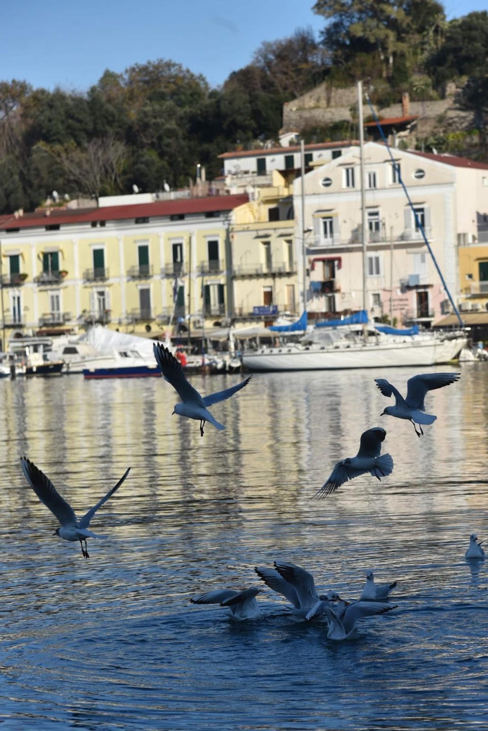 Riva Destra Suite apartament Apartment in Ischia