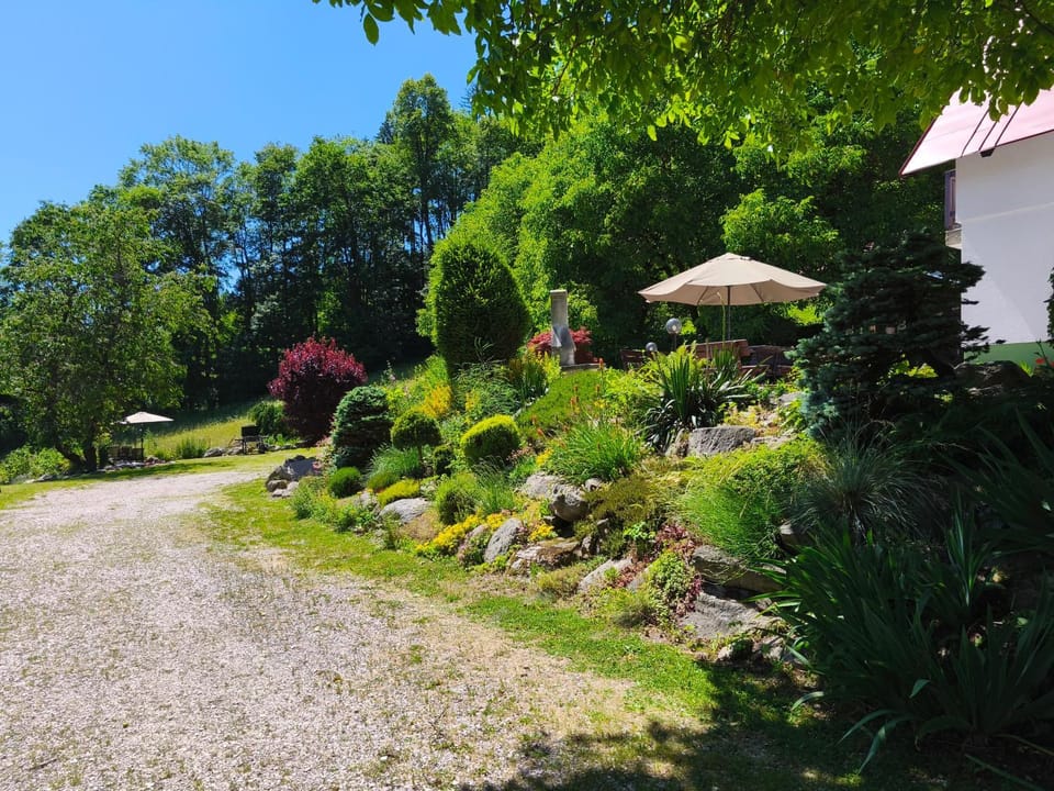 Summer, Garden view