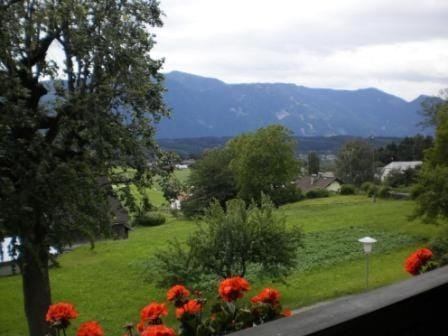 Natural landscape