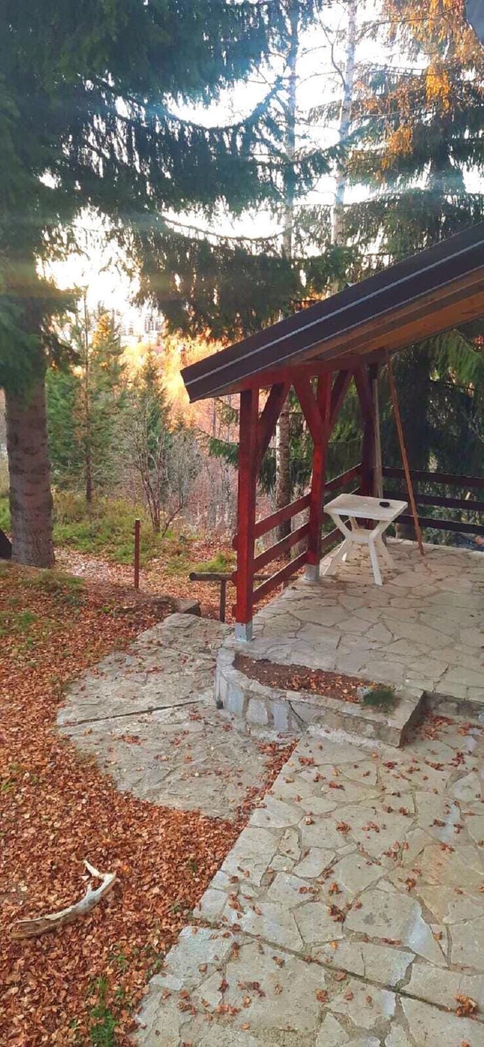 Natural landscape, Garden, Garden view