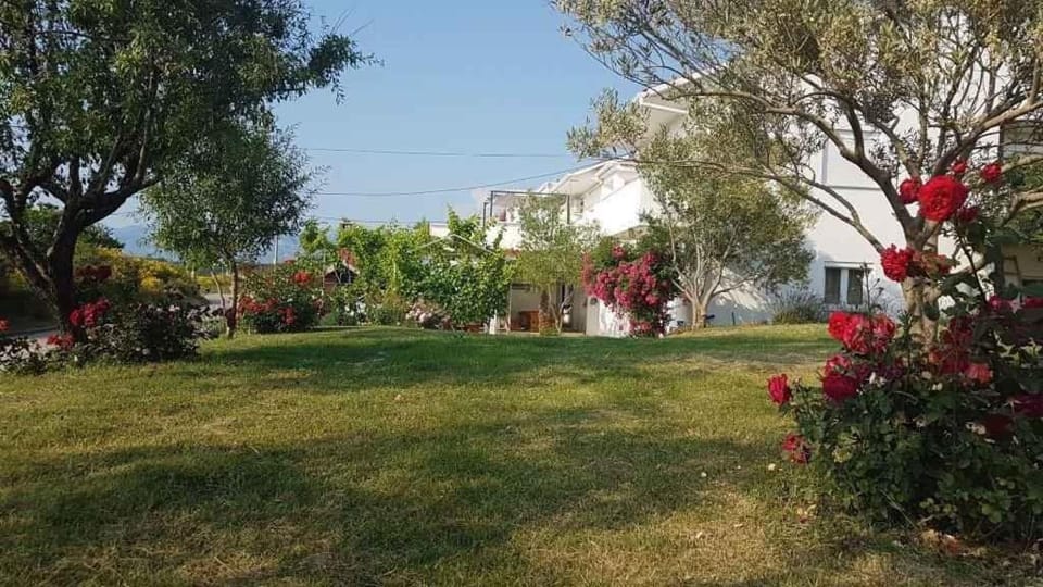 Patio, Garden, Garden view