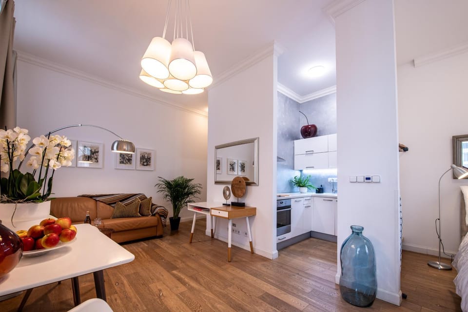 Modern Downtown APT - renovated, on ideal location Apartment in Prague
